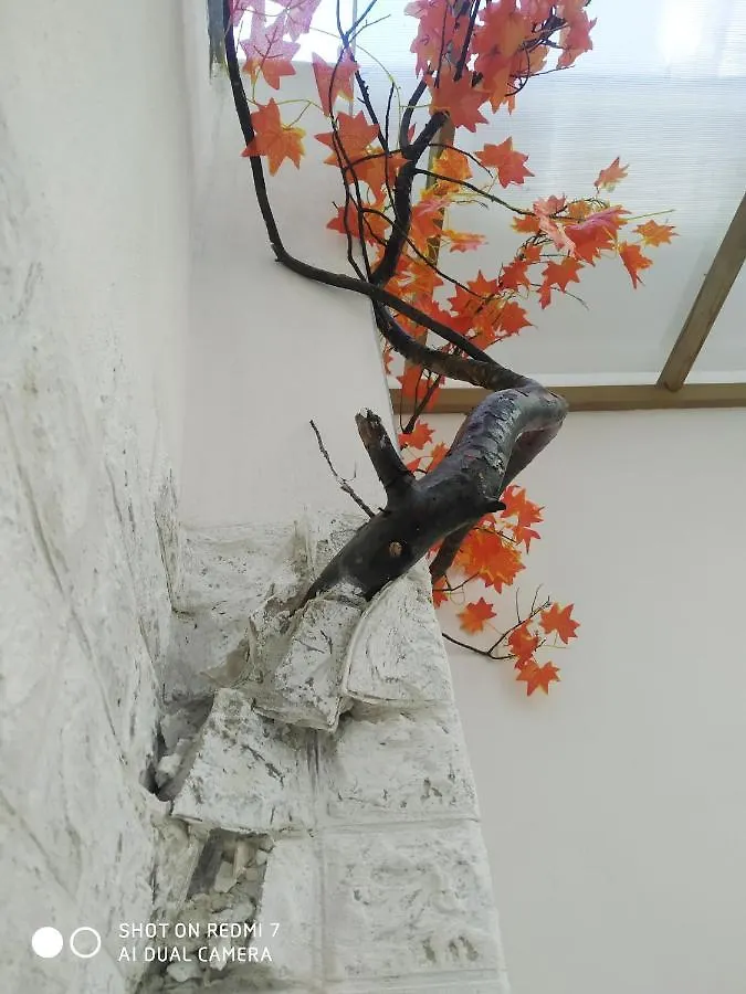 Aurisa Apartment Bari
